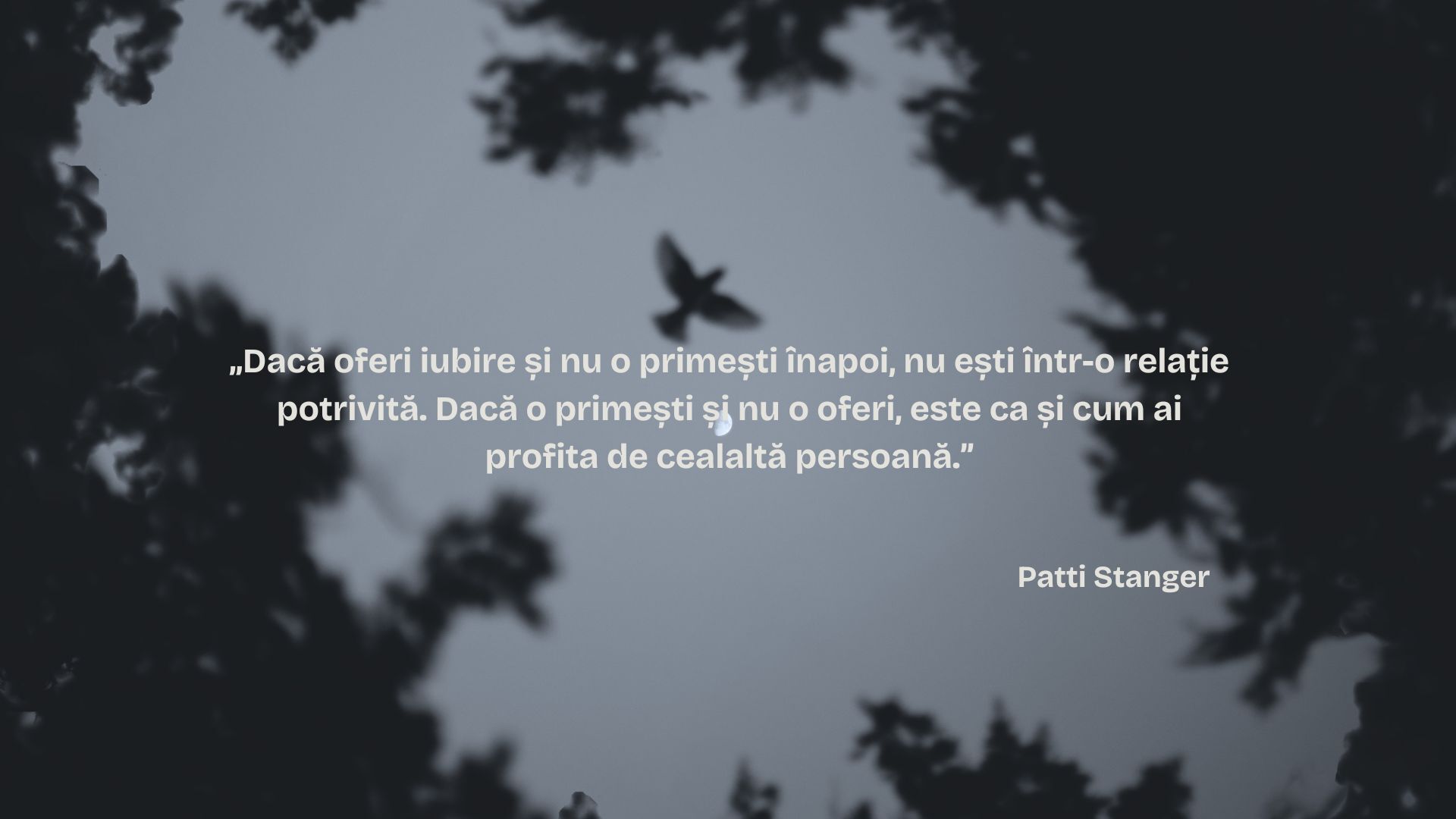 citat trist despre dragoste și dezamăgire